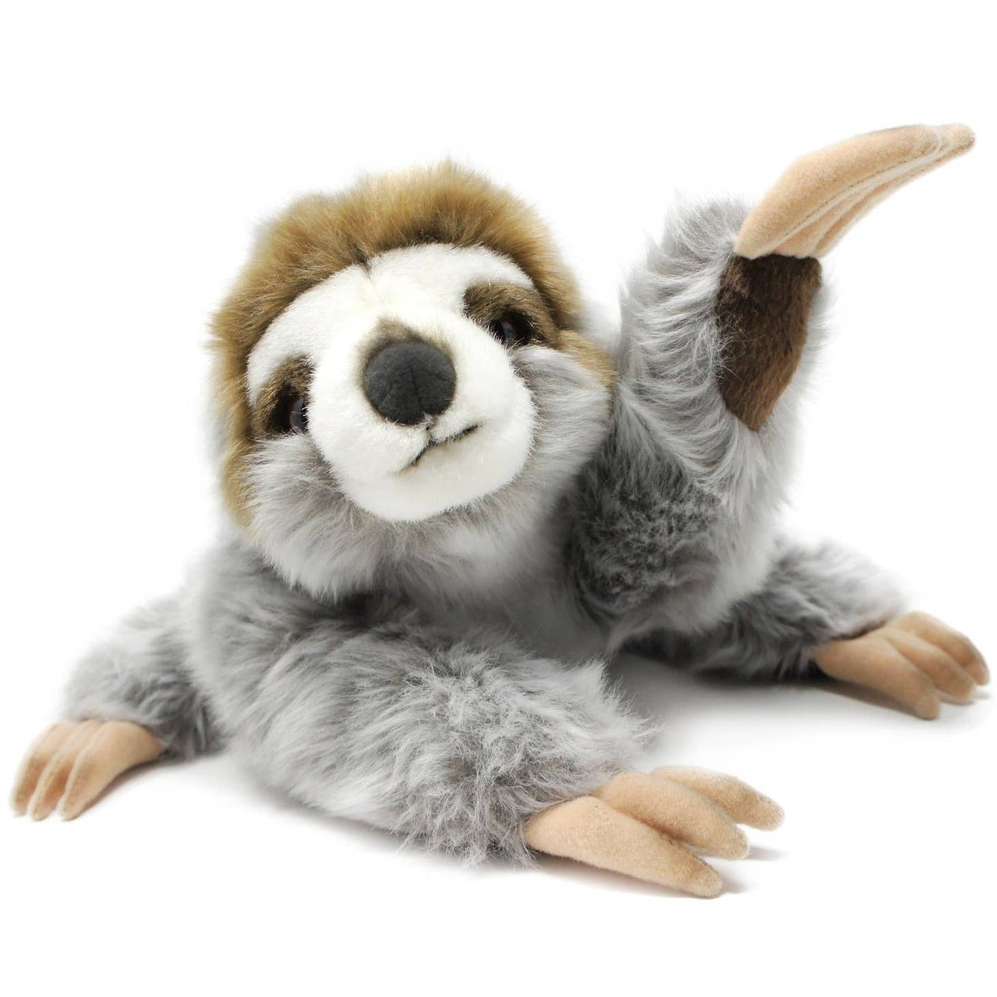 Siggy the Three-toed Sloth Baby