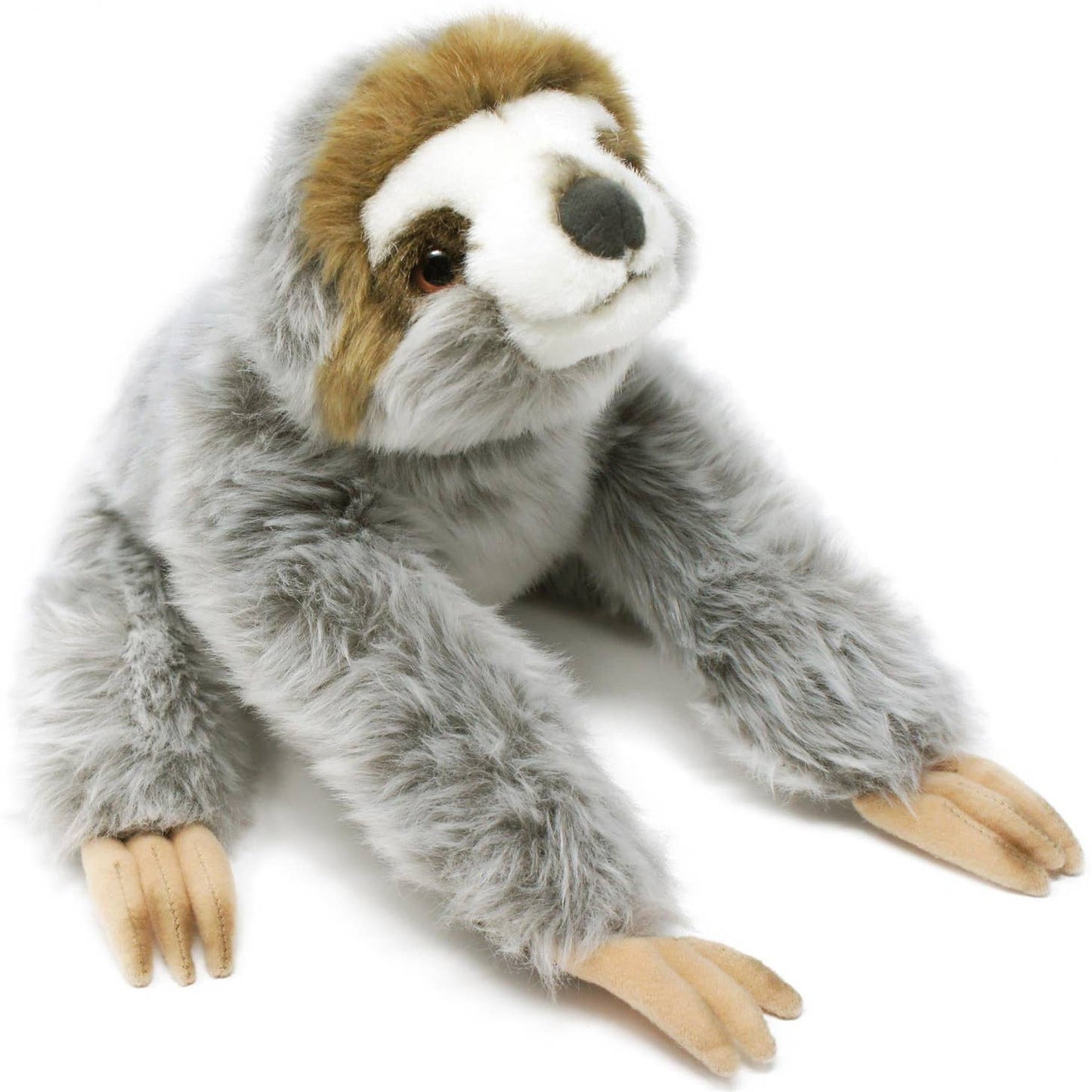 Siggy the Three-toed Sloth Baby