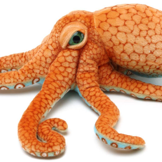 Olympus the Octopus