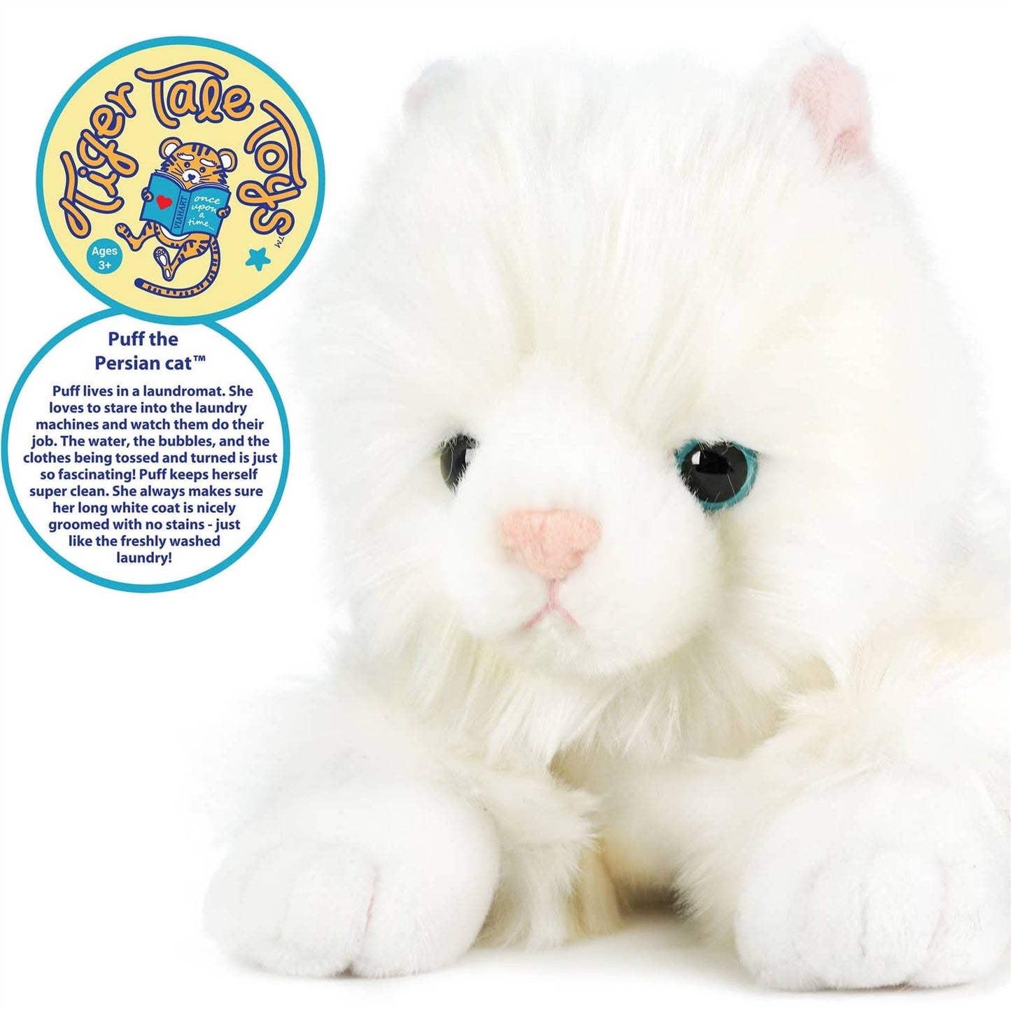 Puff the Persian Cat